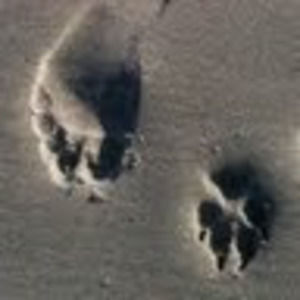 Meet your Posher, Louise